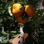 Degli Aranci 3* Diano Marina