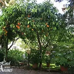 Degli Aranci Hotel
