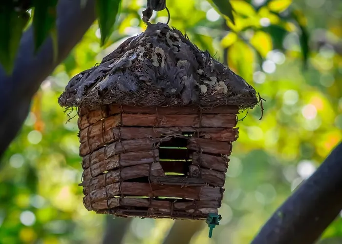 Degli Aranci Szálloda